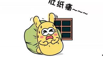 吃瓜群众双胞胎,吃瓜群众的欢乐源泉