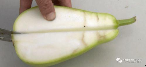 吃毒蛇瓜,挑战极限的神秘美食之旅