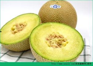 哈密瓜能给婴儿吃,宝宝辅食新选择，营养美味两不误