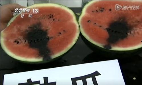 吃喷瓜视频,舌尖上的刺激与欢笑之旅