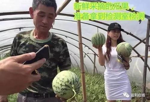 惠州惠东的直播吃瓜,一场视觉盛宴的美食之旅