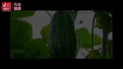 吃瓜影视官方下,揭秘娱乐圈幕后故事,带你走进明星真实生活