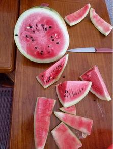 什么瓜能煮碎吃,揭秘瓜类煮碎的独特美味