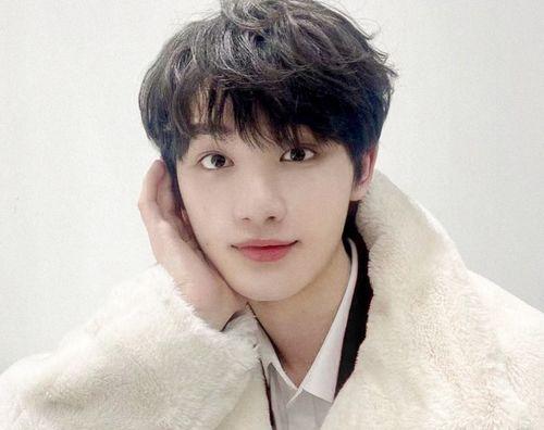 吃瓜丁程鑫,揭秘娱乐圈小鲜肉的甜蜜与苦涩