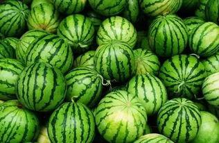 吃瓜群各种瓜,揭秘吃瓜群背后的八卦风云