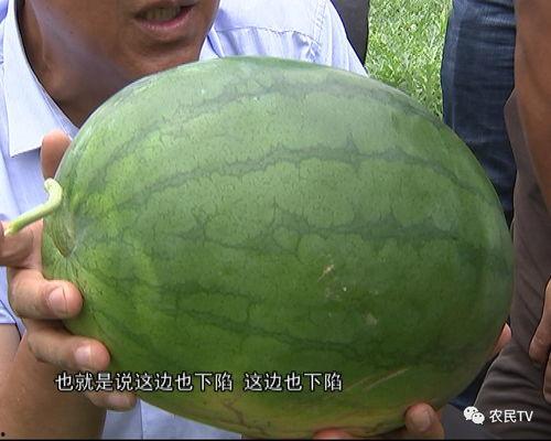 搞瓜怎么吃,探索“搞瓜”的独特食用之道