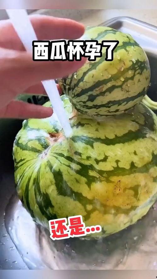 搞瓜怎么吃,探索“搞瓜”的独特食用之道