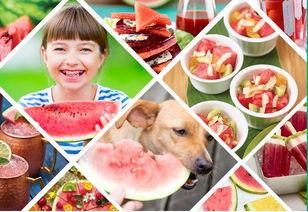 史上最强吃瓜排名,揭秘娱乐圈幕后风云