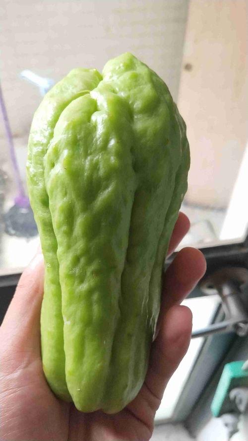 老腩瓜怎么吃,解锁美味新境界