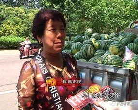 天柱吃瓜群众,揭秘当地热点事件背后的故事