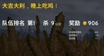 吃鸡与吃瓜群众,揭秘网络现象背后的众生相