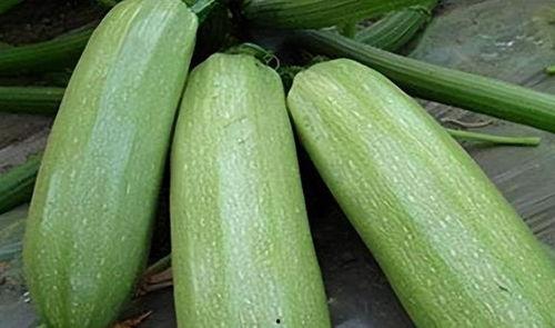 夏凉吃瓜,夏凉吃瓜,清凉一夏